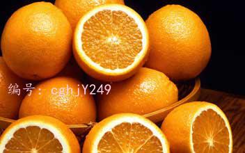 ģ