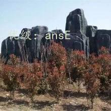 ѹ